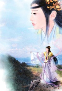 鲜血圣骑士